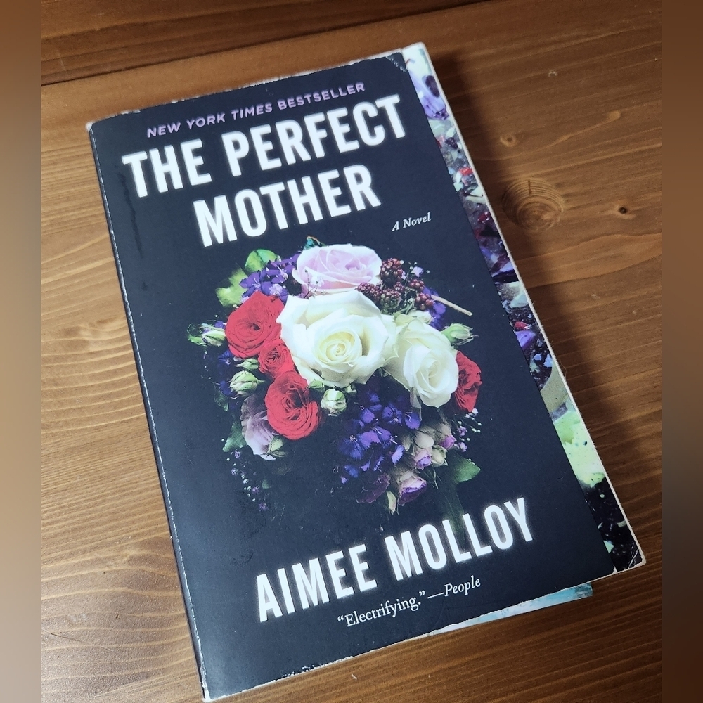 'The Perfect Mother' Novel